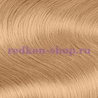 Redken Shades EQ Cream    09WB 60 